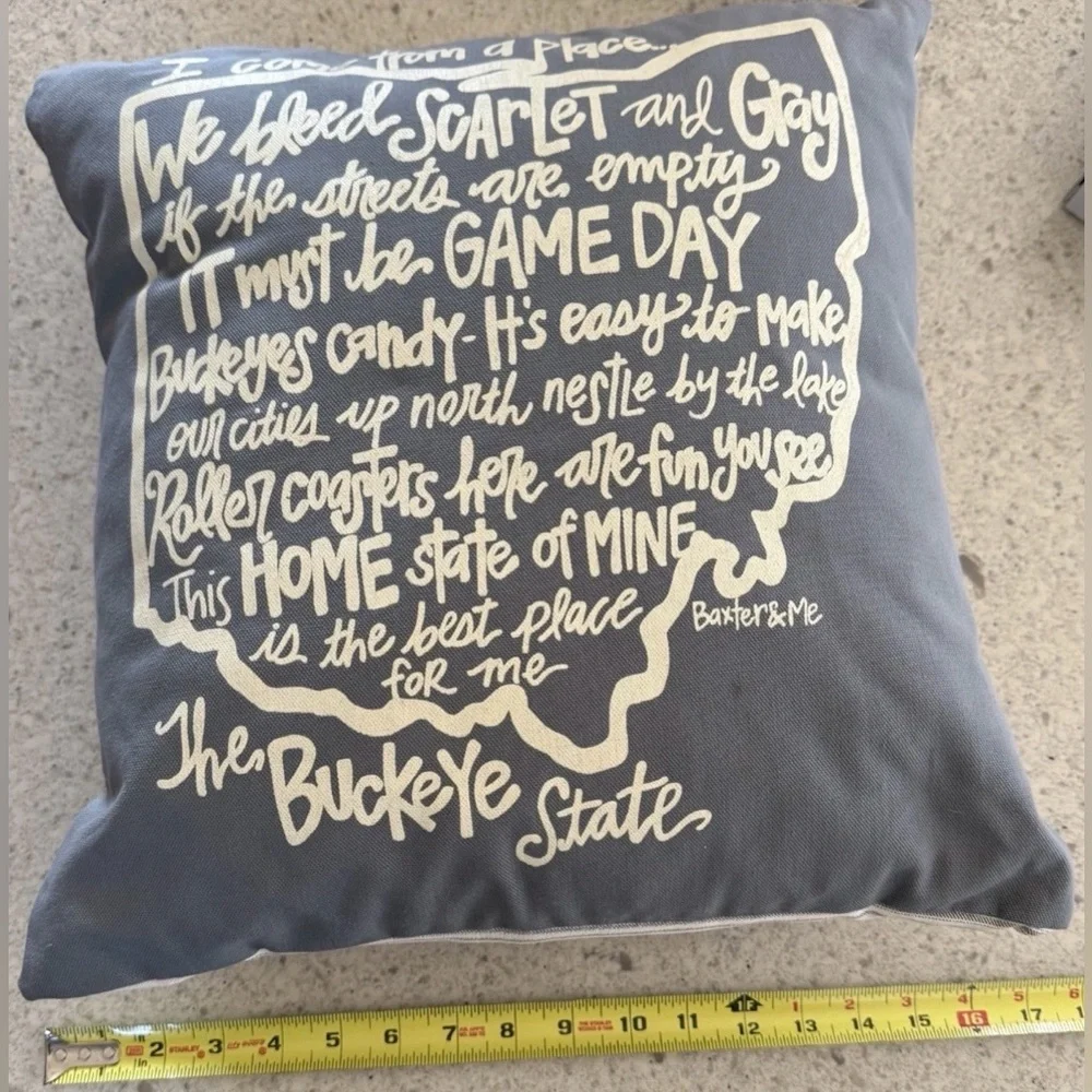 Ohio Buckeye State Decorative Pillow Baxter & Me Gray Game Day Ohio Home Decor